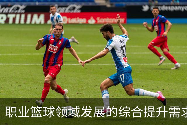 职业篮球领域发展的综合提升需求